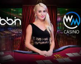 pg软件电脑免费版